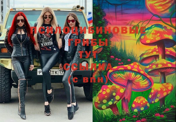 стафф Усолье-Сибирское