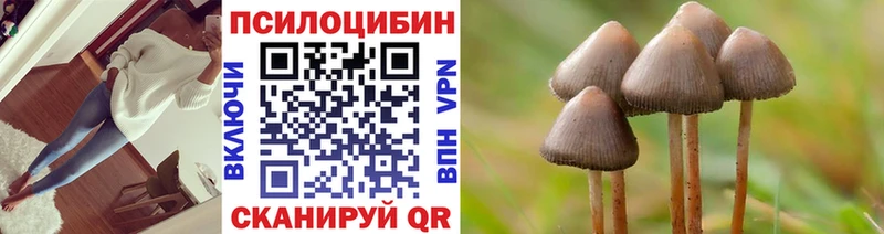 Галлюциногенные грибы ЛСД  Купить  Черноголовка 